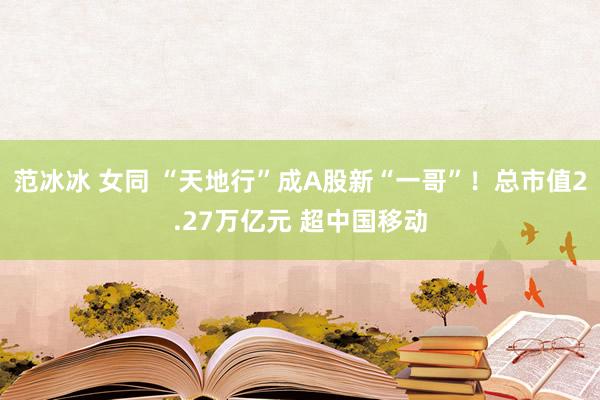 范冰冰 女同 “天地行”成A股新“一哥”！总市值2.27万亿