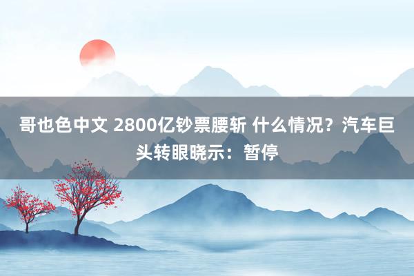 哥也色中文 2800亿钞票腰斩 什么情况？汽车巨头转眼晓示：