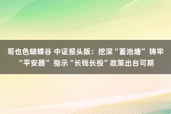 哥也色蝴蝶谷 中证报头版：挖深“蓄池塘” 铸牢“平安器” 指