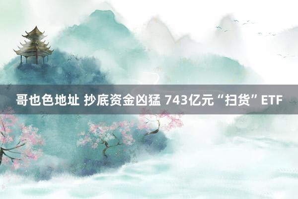 哥也色地址 抄底资金凶猛 743亿元“扫货”ETF