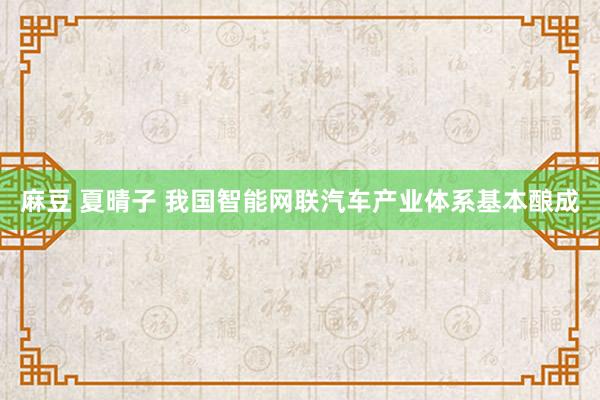 麻豆 夏晴子 我国智能网联汽车产业体系基本酿成