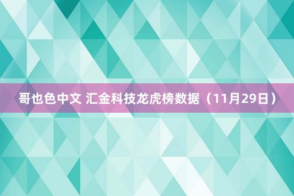 哥也色中文 汇金科技龙虎榜数据（11月29日）