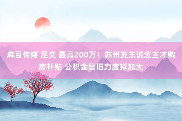 麻豆传媒 足交 最高200万！苏州发东说念主才购房补贴 公积