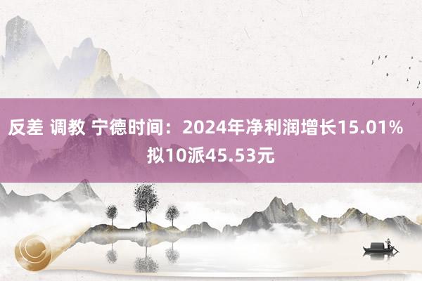 反差 调教 宁德时间：2024年净利润增长15.01%  拟