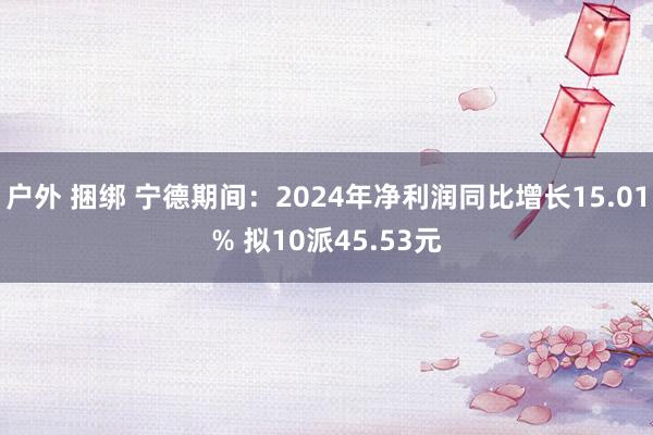 户外 捆绑 宁德期间：2024年净利润同比增长15.01% 