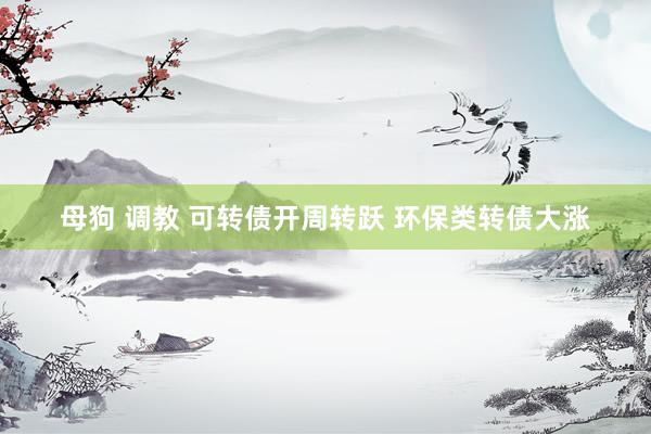 母狗 调教 可转债开周转跃 环保类转债大涨