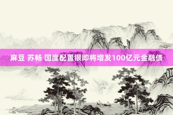 麻豆 苏畅 国度配置银即将增发100亿元金融债