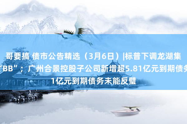 哥要搞 债市公告精选（3月6日）|标普下调龙湖集团评级至“B