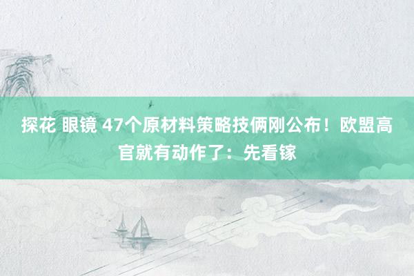 探花 眼镜 47个原材料策略技俩刚公布！欧盟高官就有动作了：先看镓